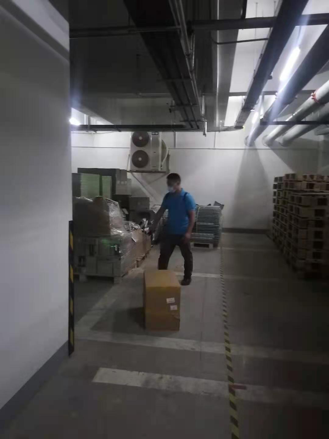 除四害