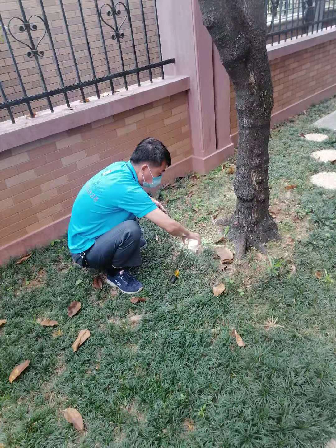 防治白蚁