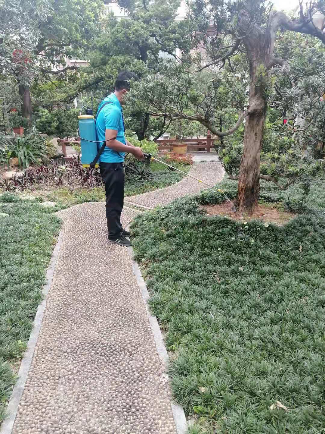 防治白蚁