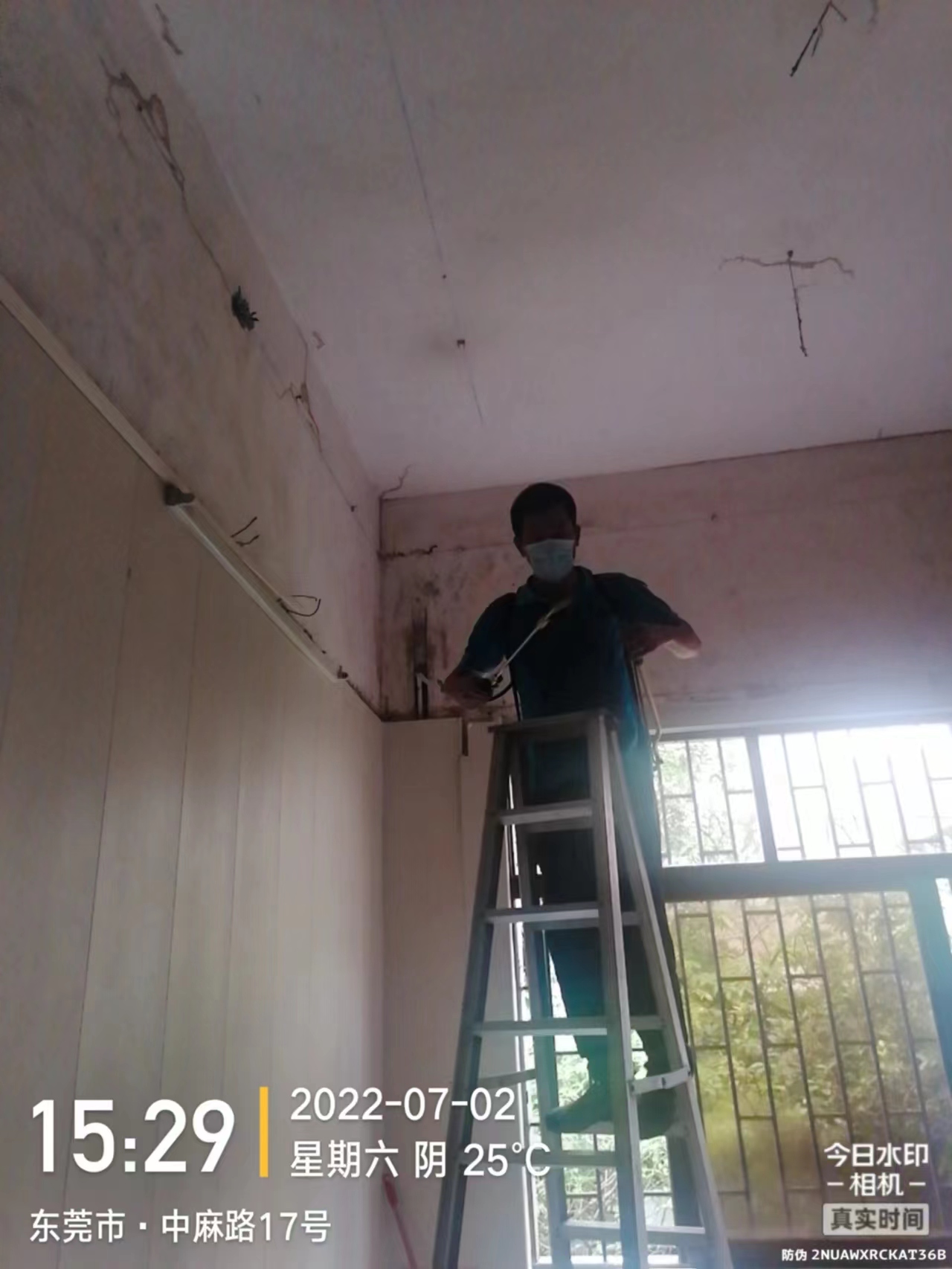 房屋灭白蚁