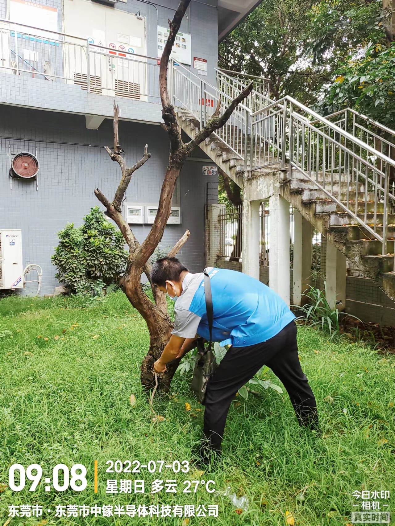 绿华植物综合防治